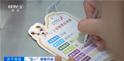 宏盛证券 宠物友好航班来了 带“毛孩子”一起坐飞机客舱~
