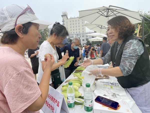 嘉正网  京郊“怪味”玉米集体亮相，背后有个致富故事